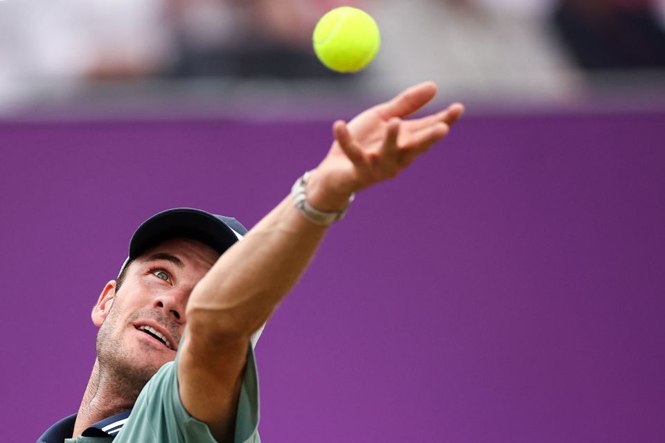 辛纳已经连 辛纳已经连