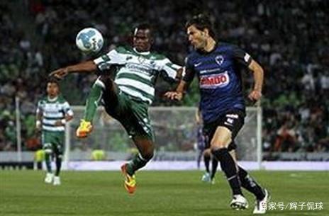 塞鸟的加入 塞鸟的加入