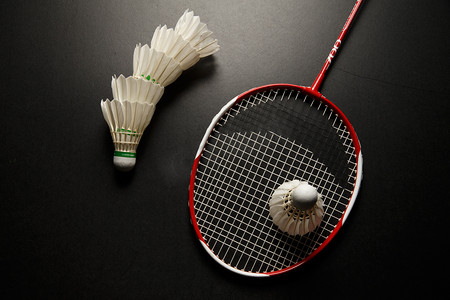 法国队内的 法国队内的